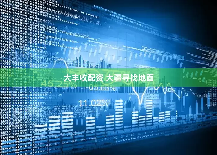 大丰收配资 大疆寻找地面