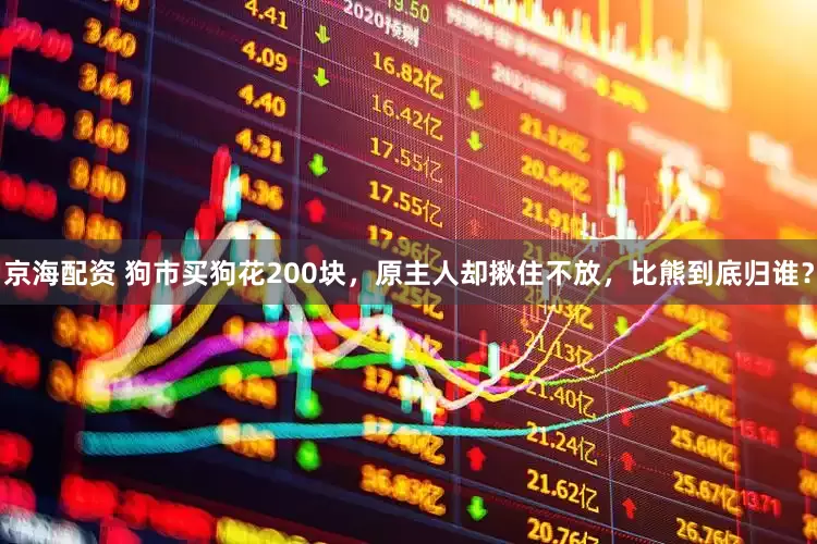 京海配资 狗市买狗花200块，原主人却揪住不放，比熊到底归谁？