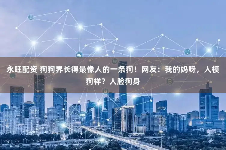 永旺配资 狗狗界长得最像人的一条狗！网友：我的妈呀，人模狗样？人脸狗身