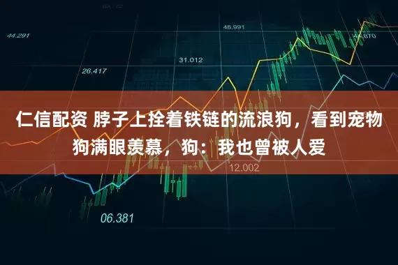 仁信配资 脖子上拴着铁链的流浪狗，看到宠物狗满眼羡慕，狗：我也曾被人爱