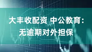大丰收配资 中公教育：无逾期对外担保